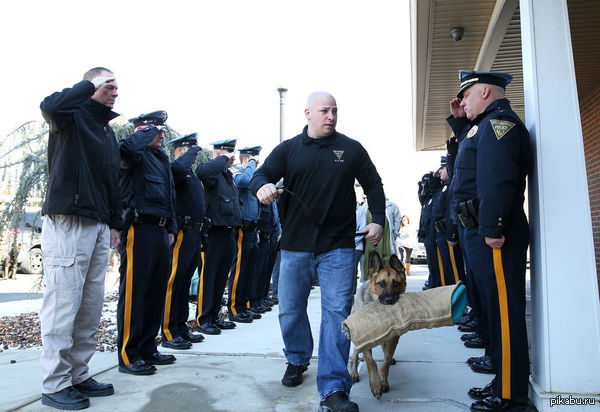 Офицеры провожают смертельно больную служебную собаку на эвтаназию к ветеринару. собака, эвтаназия