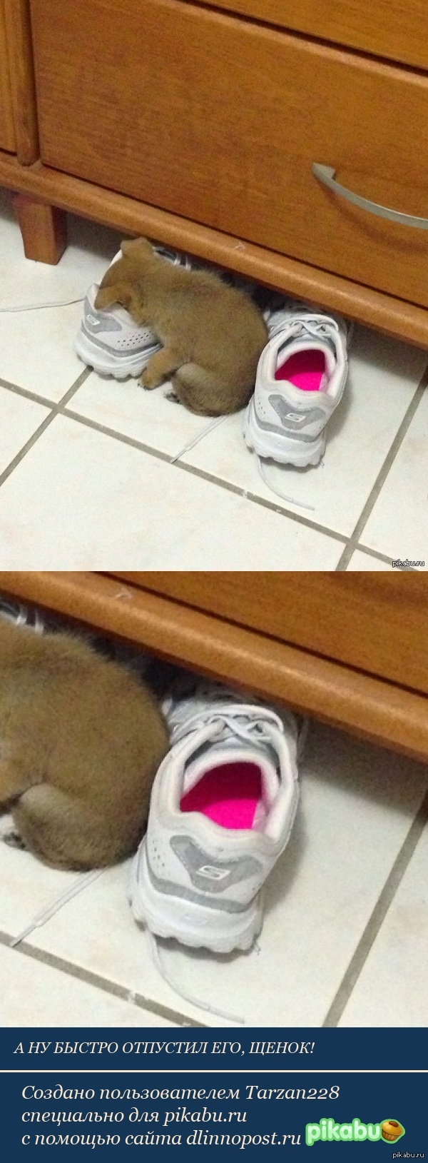 Злой кросовок