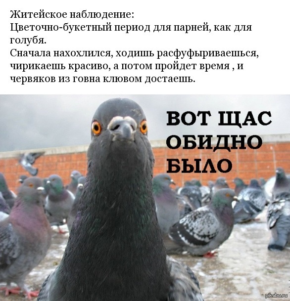 ��������-�������� ������