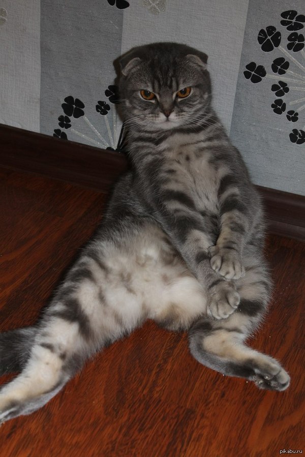 Снимайте меня полностью!