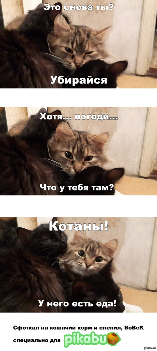 ����� ���� ���� �� �����...