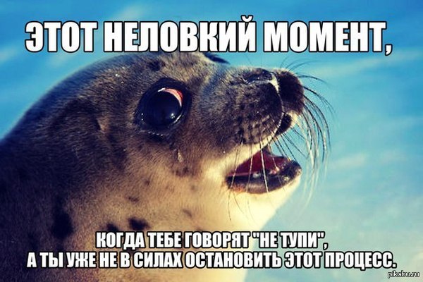 Этот самый момент))