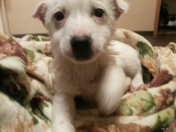 ������-��-���� ����� ������. ��������� ����� ��������. ������, �������� �������. ��� ����������� ������� ����.  ����� ���-������ �������.