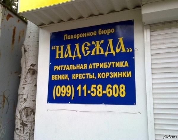 Правильно говорят. Надежда умирает последней...