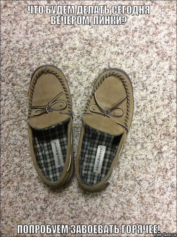 Новый тренд