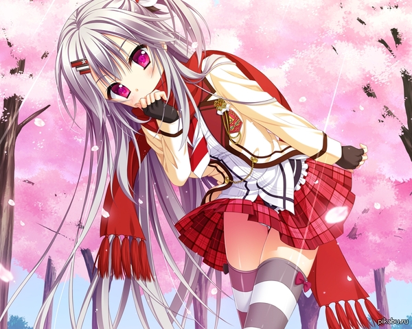 Shiranui Inori Hanasaki Work Spring!