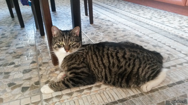 ,  , , . .: +7-911-797-4014