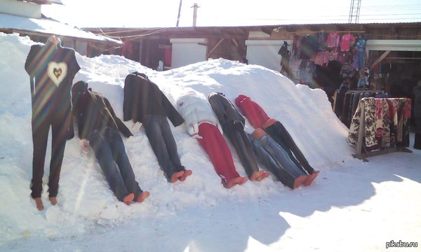 ������������ ��������