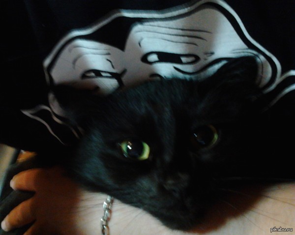 У каждого свои слабости