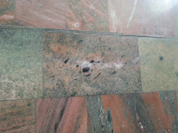 Мишка на белорусском вокзале