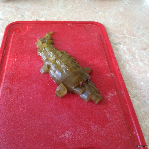 Солёный крокодил