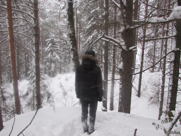 ���, ������, ������� ������� �� ������ � ���������..