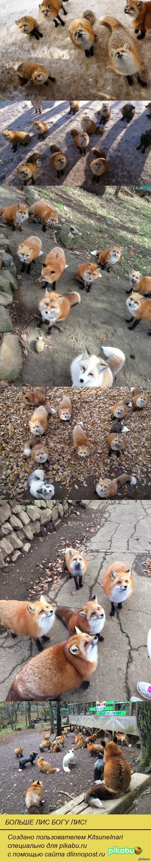 ������ ���