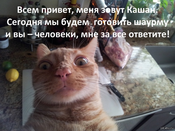���-�� � ������������ ���������.