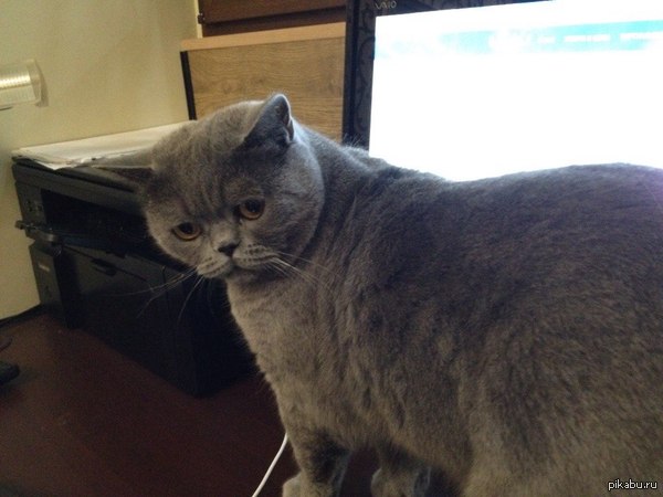 � ��� ��� ���)