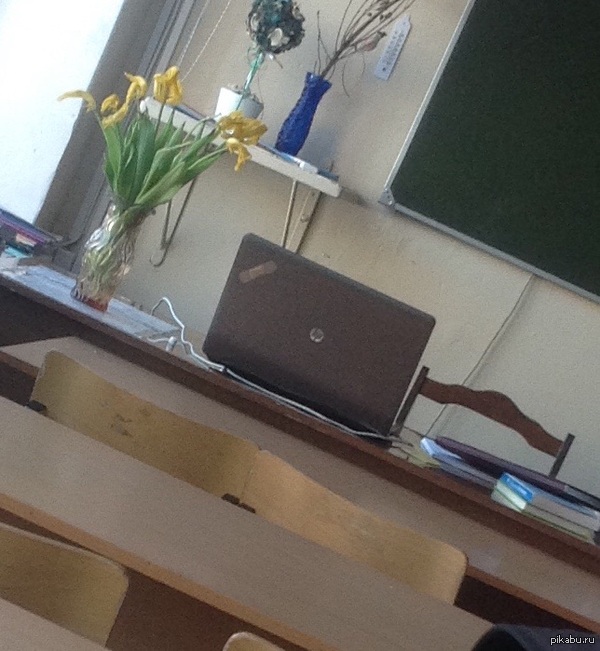 Как починить ноутбук? | Пикабу