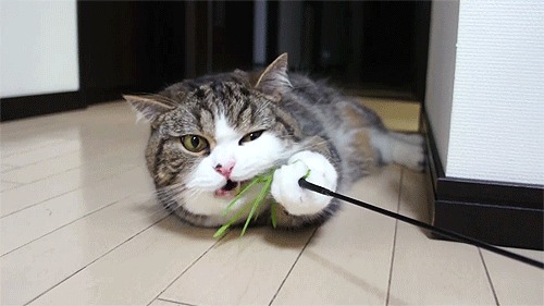 ? 