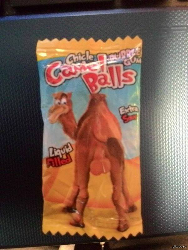 I went to buy gum from the Vietnamese: D - NSFW, My, camel, Balls, Gum, Czech