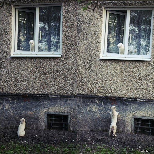 ����� ������ :)