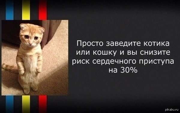 � ������ � ����� �� ����