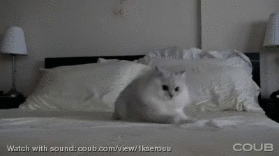 Всех с добрым с утром! Бывает, проснешься Крылатой пружиной на взводе! Так хочется жить и трудиться, Но к завтраку это проходит... Всем котейков и добра! )