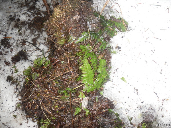 ������ � ������ ���� ������ :)