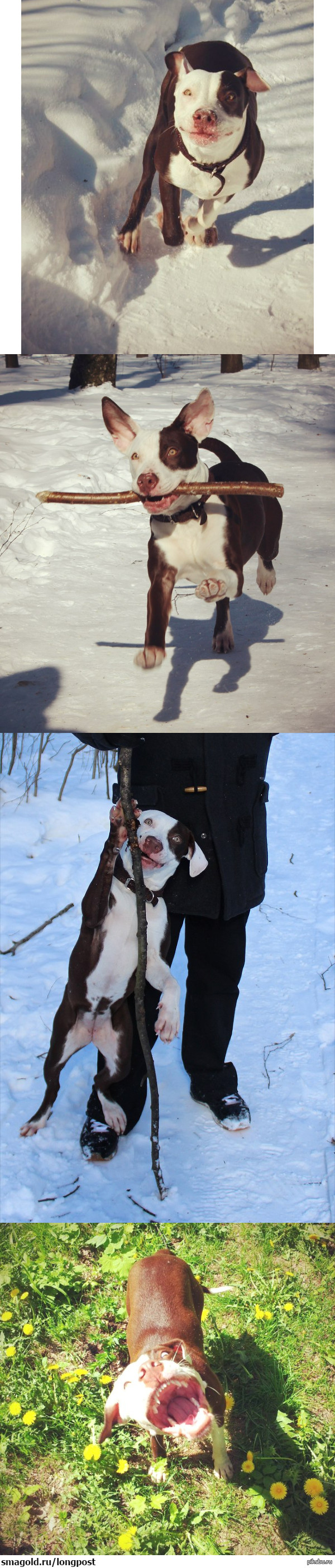 ��������������. �������: �������������.