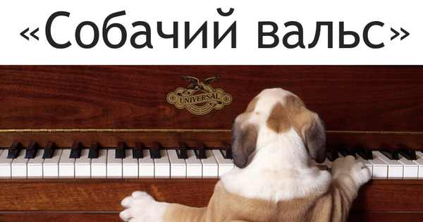 Собачий вальс картинка на пианино. Собачий вальс. Собачий вальс на фортепиано. Собака на пианино. Собачий вальс Ноты.