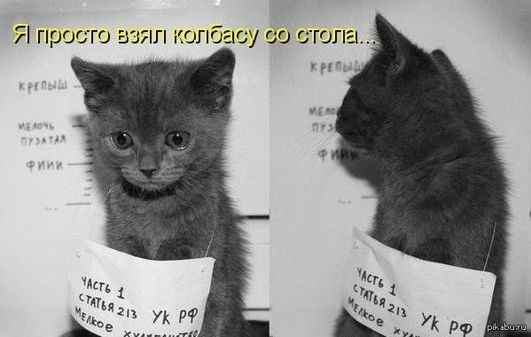 Засадили крепыша!!!