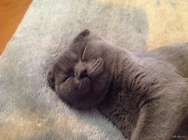 ����� ������