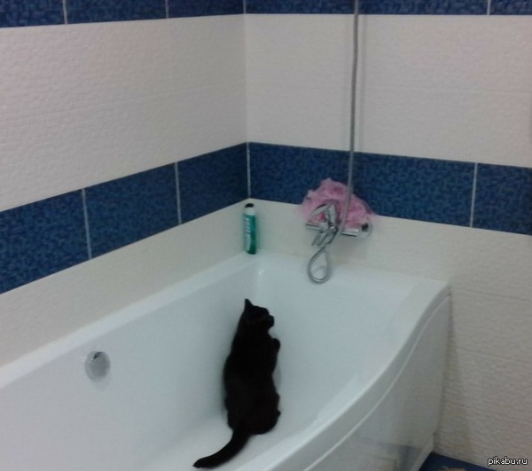 ����� ���� ����� ������