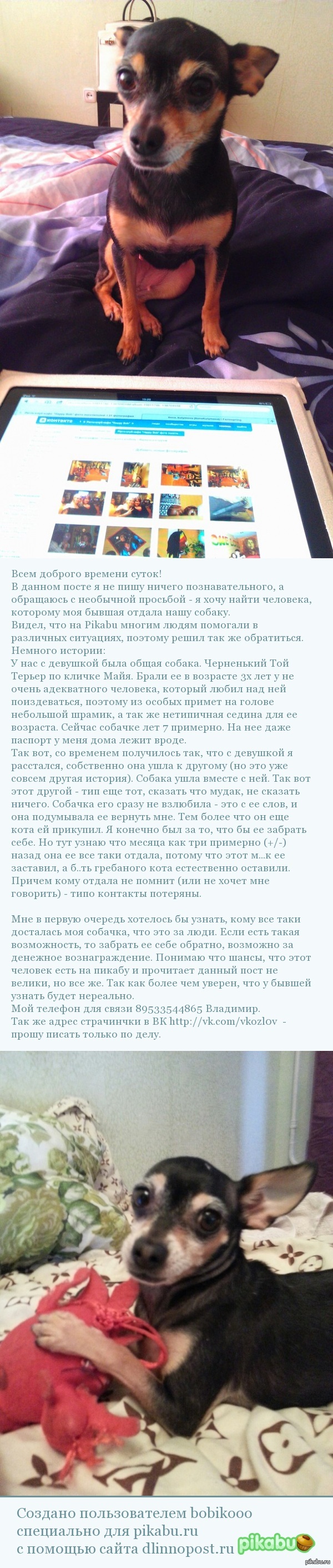 Вознаграждение: истории из жизни, советы, новости, юмор и картинки —  Горячее, страница 11 | Пикабу