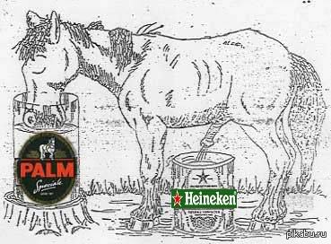 Beer is so tasty that even horses drink it ..... - NSFW, Beer, Yummy, Snack