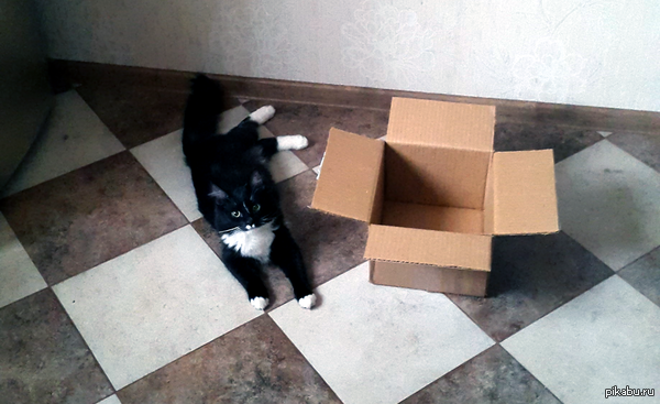 "���� �������, ������ ��������?"