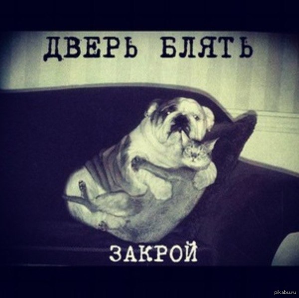 �������� ������