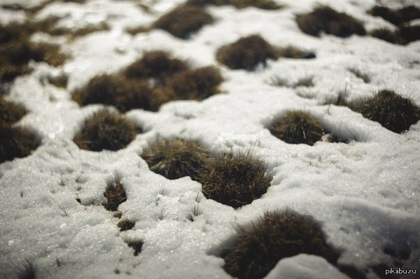 Настроение - весна...