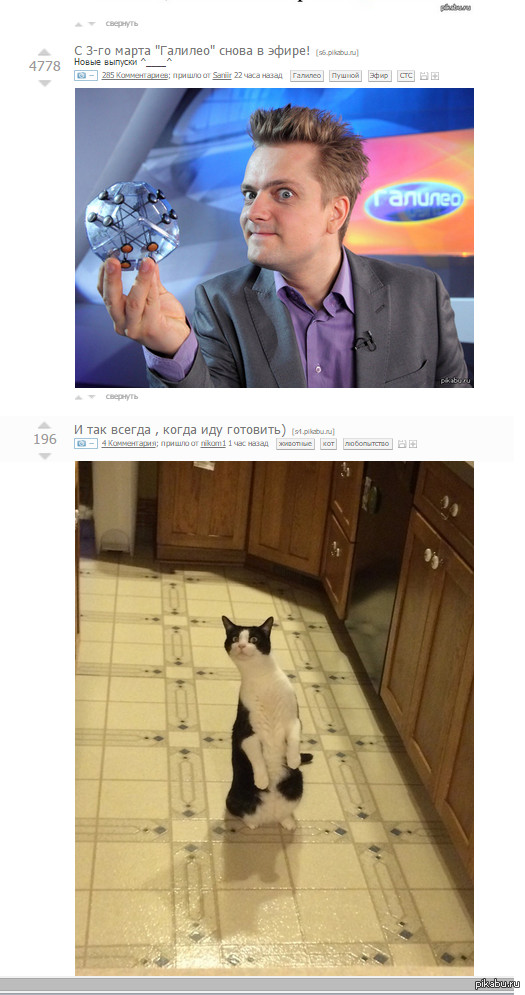 Лица и морды заговорщиков