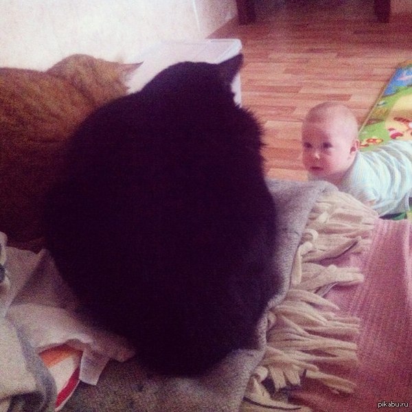 &quot;..     ! - -- --...."