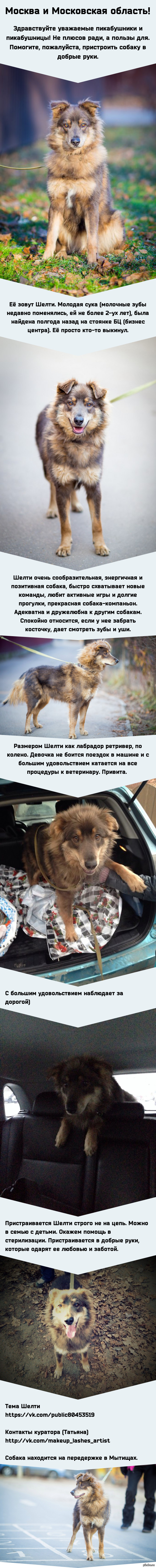 ������ ������ �������� �������!