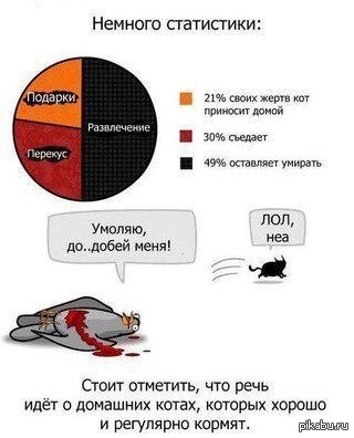 � ������ "�����������" ����������� � ���� �_�