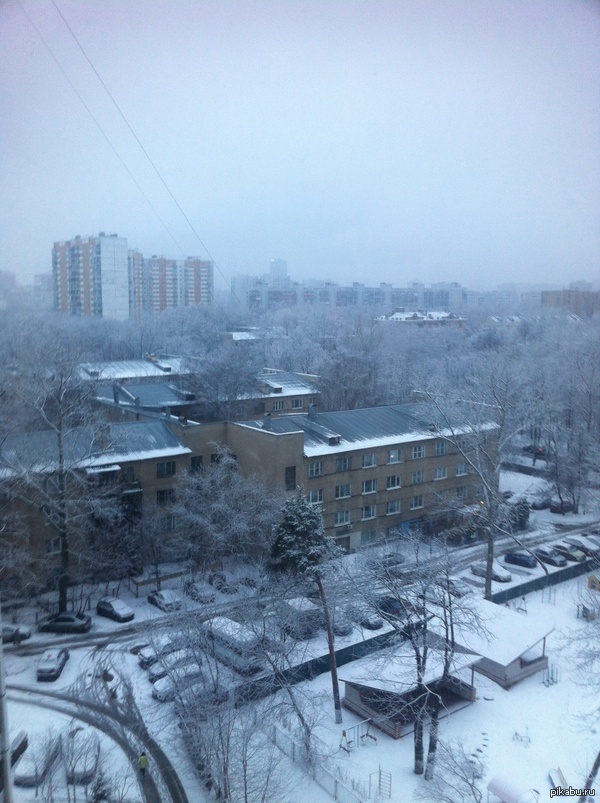 ����������� ���� � ������ �������