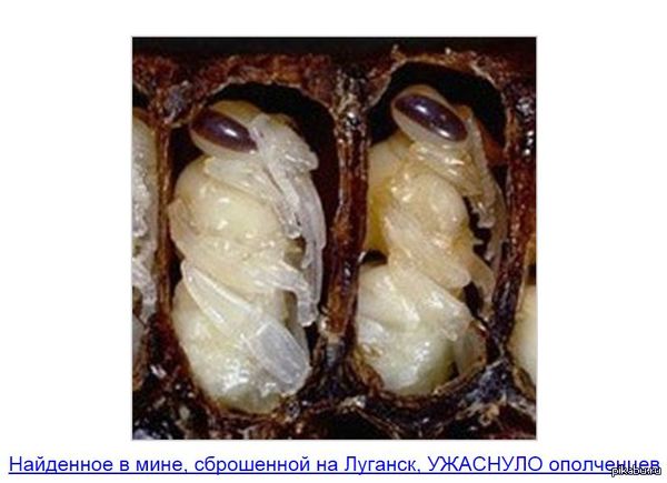 ���� ��� ���� ��������!