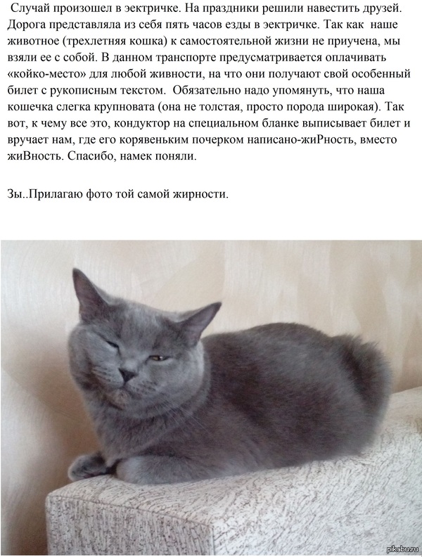 � ���� �� ���� ������ ���.