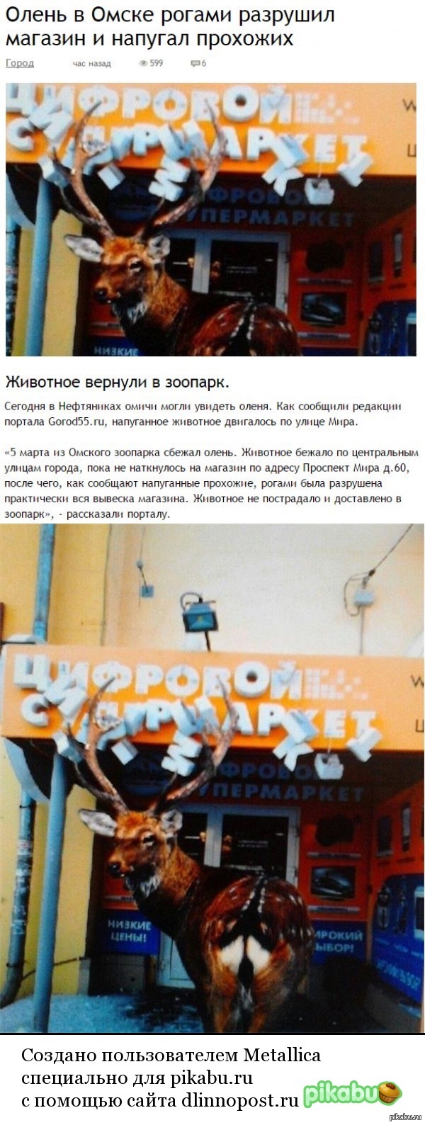 ������ ����������