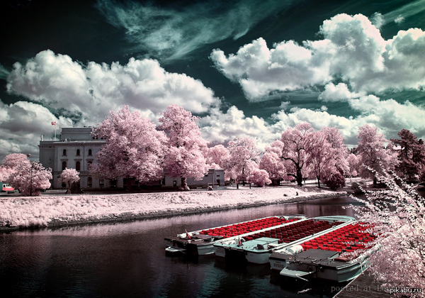 Прогулочные лодки на канале.