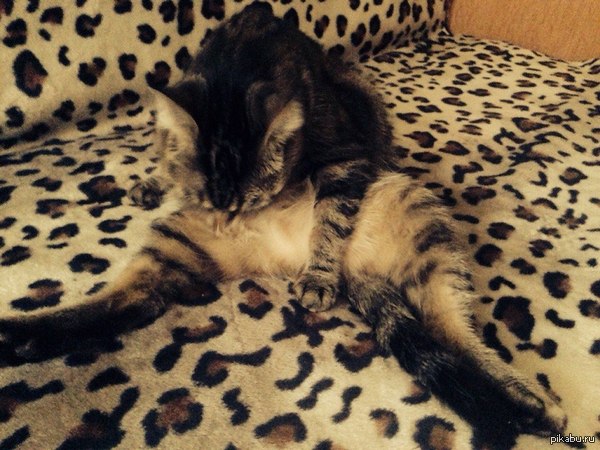 Весна пришла | Пикабу