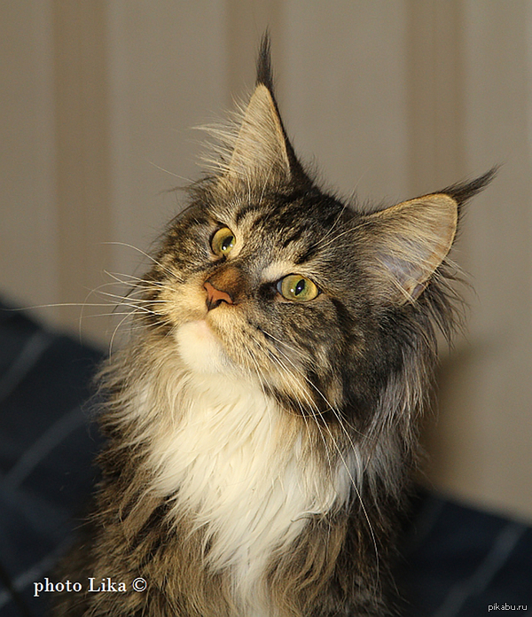 � ��� � ��� ������� ����-���.