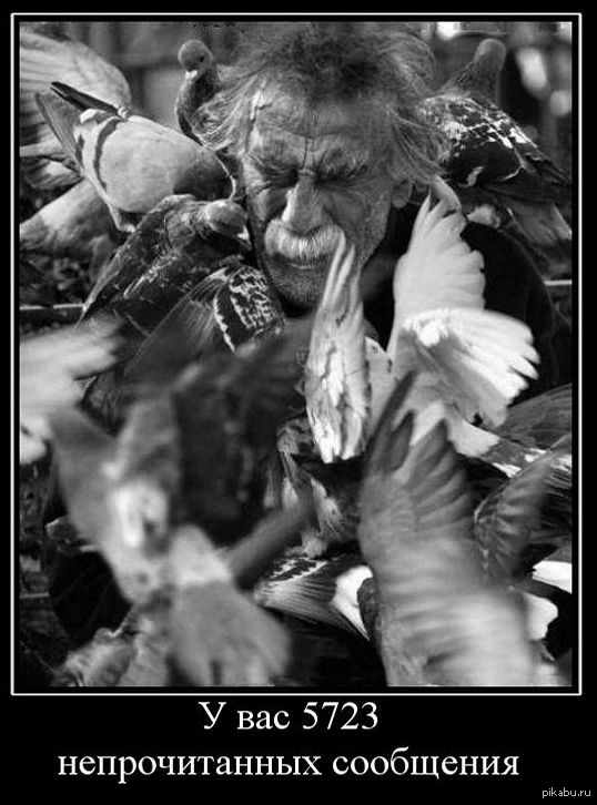 Если бы майл использовал голубиную почту) | Пикабу