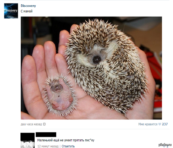 Не умеет прятать...