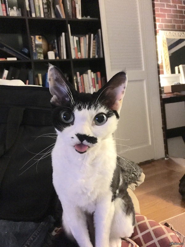 Всем приятных выходных!